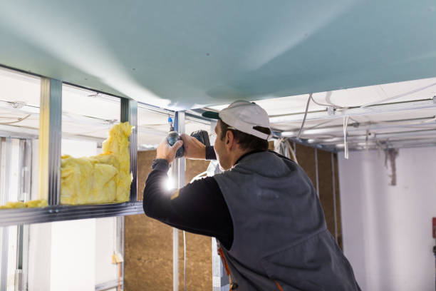 Best Cellulose Insulation in Start, LA